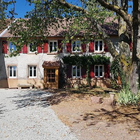 Bed and Breakfast Le Jardin Des Gouttes Rougegoutte Экстерьер фото