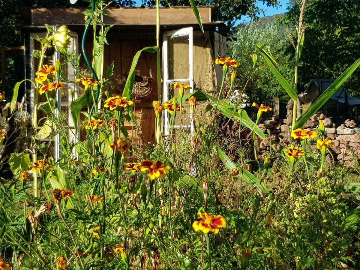Bed and Breakfast Le Jardin Des Gouttes Rougegoutte Экстерьер фото